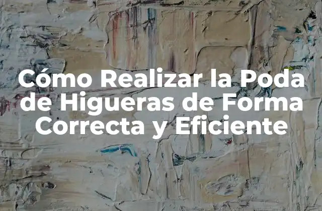 Cómo Realizar la Poda de Higueras de Forma Correcta y Eficiente