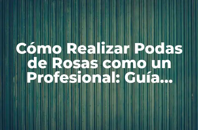 Cómo Realizar Podas de Rosas como un Profesional: Guía Completa 2 ¿Por qué son Importantes las Podas de Rosas?
