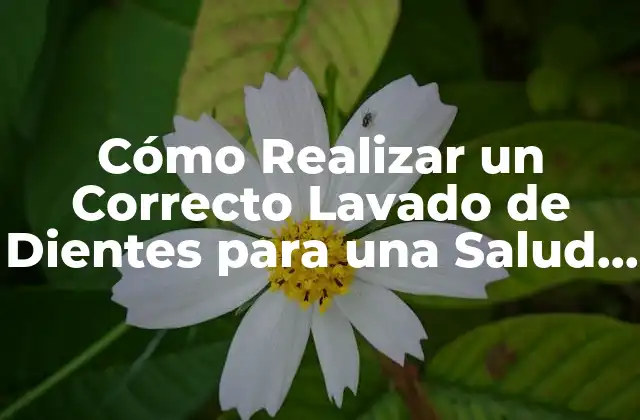 Cómo Realizar un Correcto Lavado de Dientes para una Salud Oral Óptima