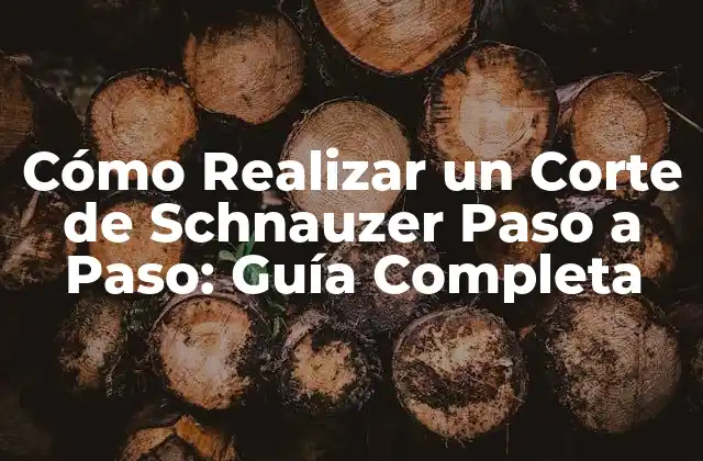 Cómo Realizar un Corte de Schnauzer Paso a Paso: Guía Completa