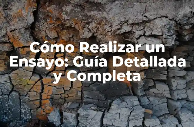 Cómo Realizar un Ensayo: Guía Detallada y Completa