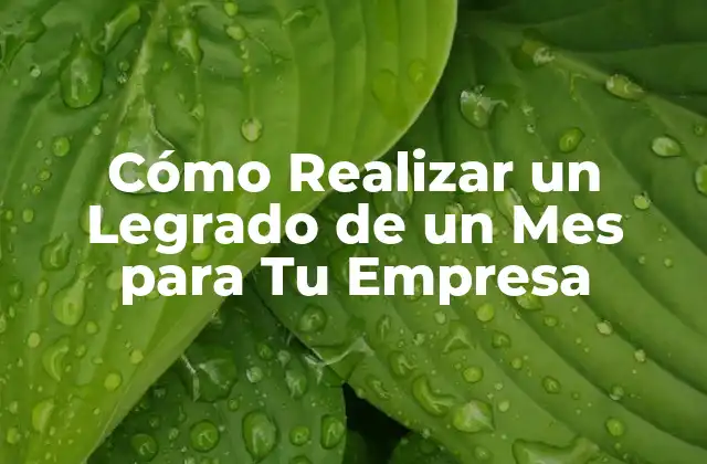 Cómo Realizar un Legrado de un Mes para Tu Empresa