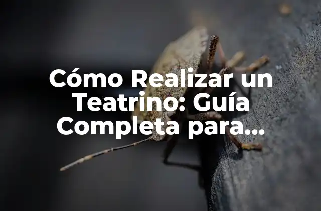 Cómo Realizar un Teatrino: Guía Completa para Principiantes