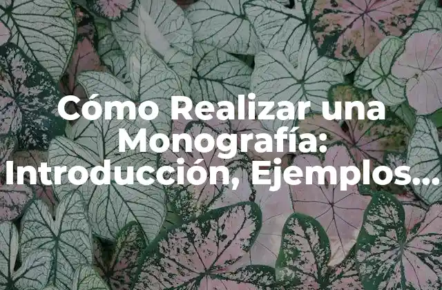 Cómo Realizar una Monografía: Introducción, Ejemplos y Más