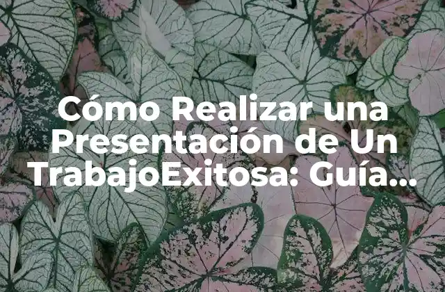 Cómo Realizar una Presentación de un Trabajoexitosa: Guía Detallada