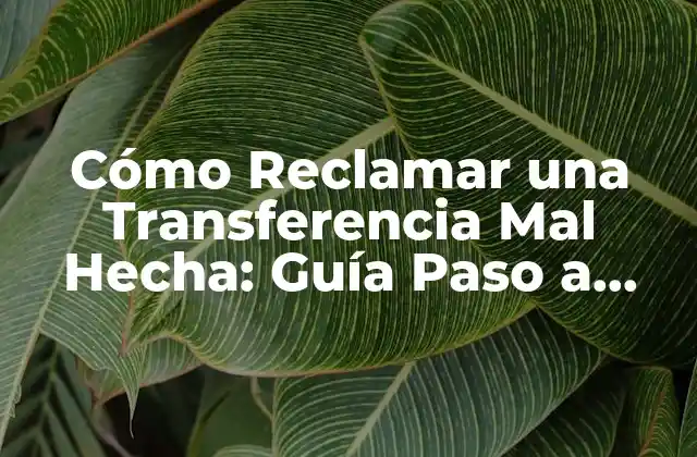 Cómo Reclamar una Transferencia Mal Hecha: Guía Paso a Paso