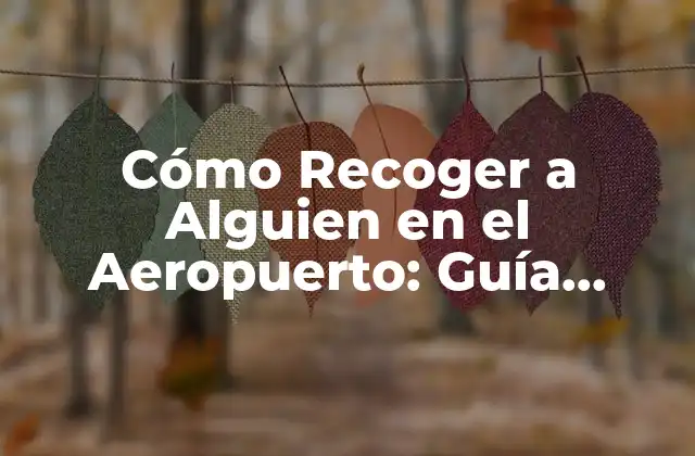 Cómo Recoger a Alguien en el Aeropuerto: Guía Completa