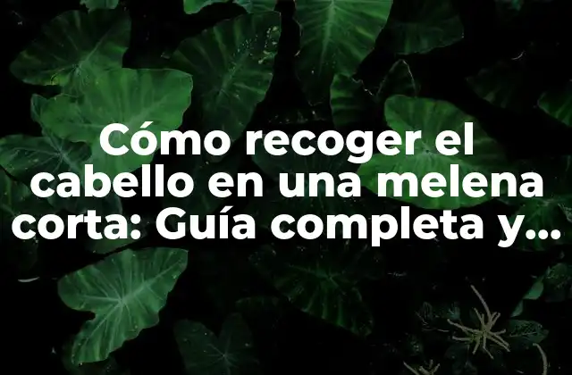 Cómo Recoger el Cabello en una Melena Corta: Guía Completa y Detallada