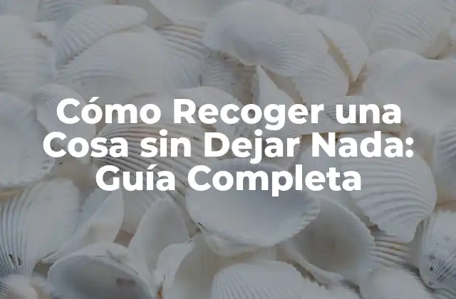 ¿Qué Significa Recoger una Cosa sin Dejar Nada?