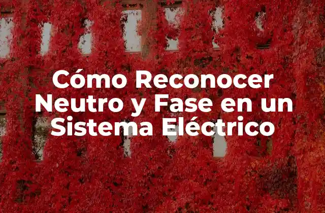 Cómo Reconocer Neutro y Fase en un Sistema Eléctrico