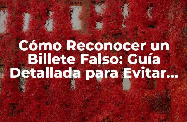 Características de los Billetes Auténticos