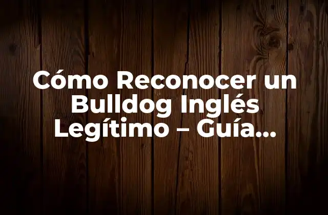 Cómo Reconocer un Bulldog Inglés Legítimo – Guía Completa