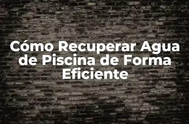 Cómo Recuperar Agua de Piscina de Forma Eficiente