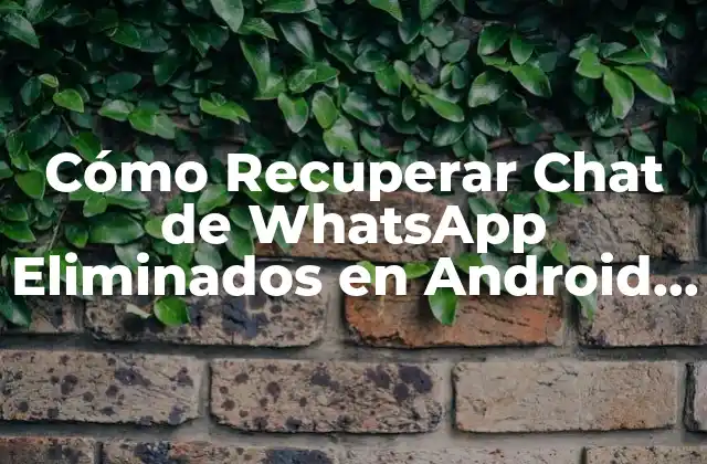 Cómo Recuperar Chat de Whatsapp Eliminados en Android e Ios