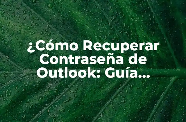 ¿cómo Recuperar Contraseña de Outlook: Guía Completa y Detallada