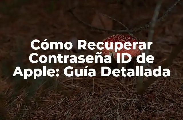 Cómo Recuperar Contraseña Id de Apple: Guía Detallada