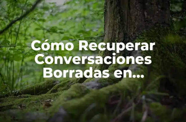 ¿Por Qué es Importante Recuperar Conversaciones Borradas en WhatsApp?