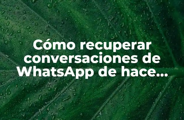 Cómo Recuperar Conversaciones de Whatsapp de Hace Meses – Guía Completa