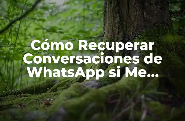 Cómo Recuperar Conversaciones de Whatsapp Si Me Robaron el Celular – Guía Completa