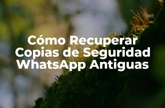 Cómo Recuperar Copias de Seguridad Whatsapp Antiguas