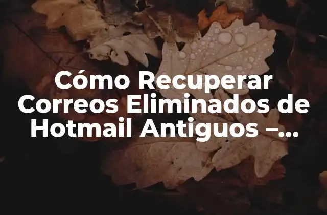 Cómo Recuperar Correos Eliminados de Hotmail Antiguos – Guía Completa