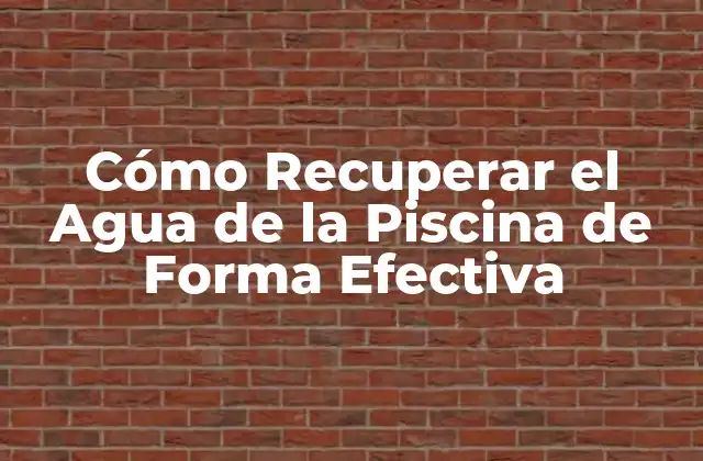 Cómo Recuperar el Agua de la Piscina de Forma Efectiva
