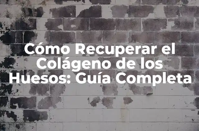 Cómo Recuperar el Colágeno de los Huesos: Guía Completa