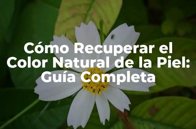 Cómo Recuperar el Color Natural de la Piel: Guía Completa