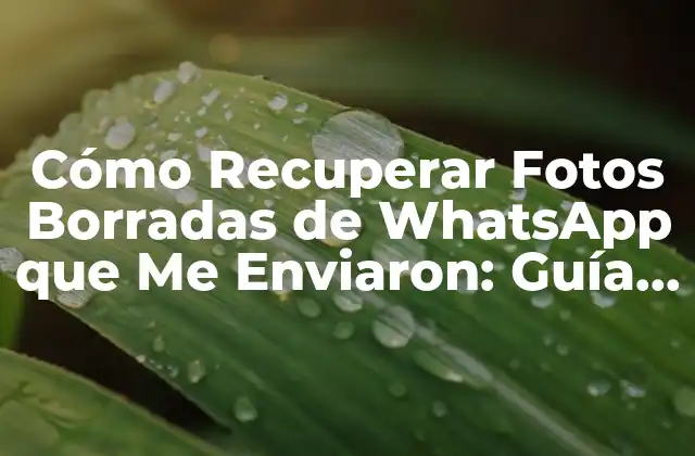 Cómo Recuperar Fotos Borradas de Whatsapp que Me Enviaron: Guía Completa