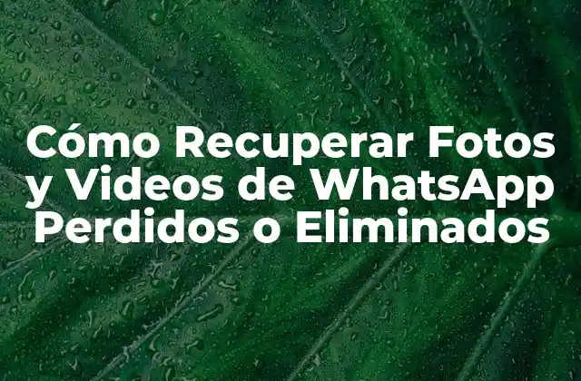 Cómo Recuperar Fotos y Videos de Whatsapp Perdidos o Eliminados