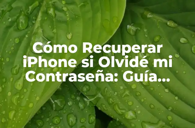 Cómo Recuperar Iphone Si Olvidé Mi Contraseña: Guía Detallada