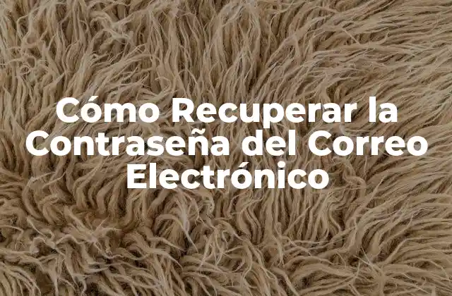 Cómo Recuperar la Contraseña Del Correo Electrónico