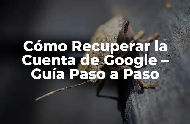 ¿Por qué es Importante Recuperar la Cuenta de Google?