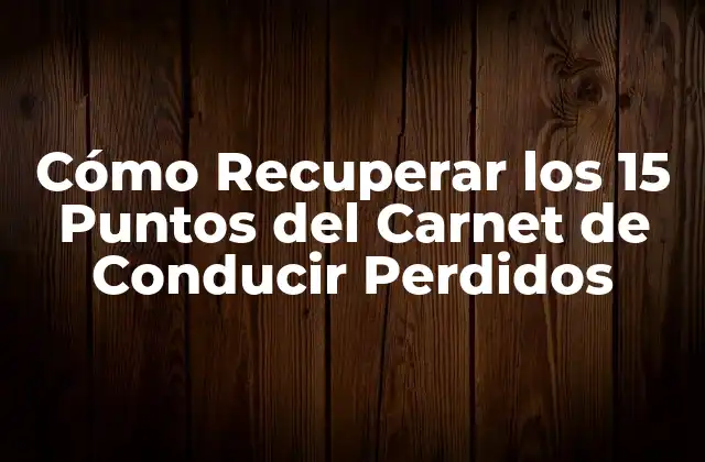 ¿Cuántos Puntos se Pueden Perder por Infracción?