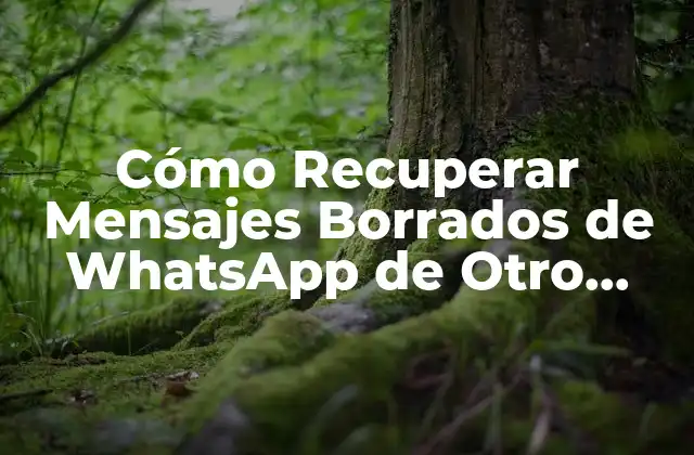 ¿Por qué es Importante Recuperar Mensajes Borrados de WhatsApp?