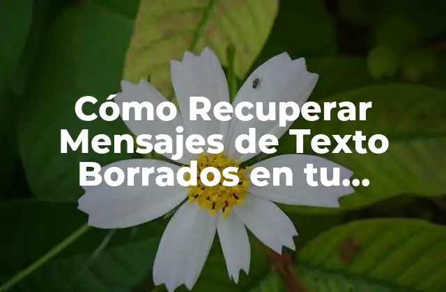Cómo Recuperar Mensajes de Texto Borrados en Tu Teléfono Android o Iphone