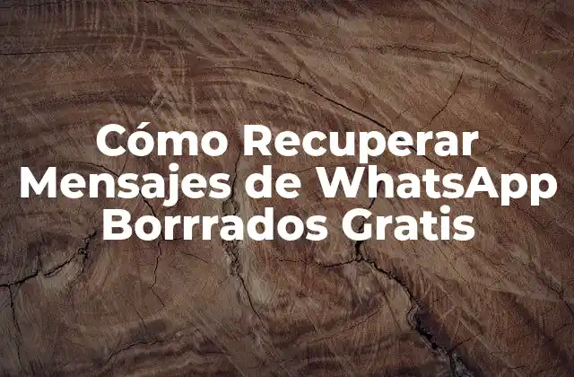 Cómo Recuperar Mensajes de Whatsapp Borrrados Gratis 2 ¿Por qué es Importante Recuperar Mensajes de WhatsApp Borrrados?
