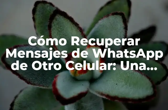 Cómo Recuperar Mensajes de Whatsapp de Otro Celular: una Guía Completa