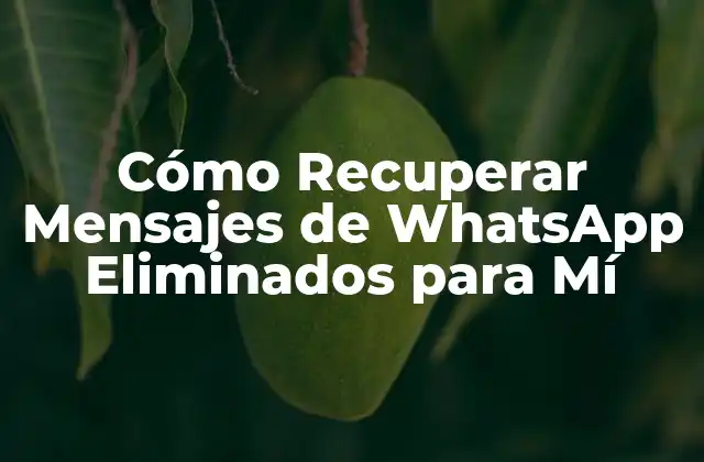 Cómo Recuperar Mensajes de Whatsapp Eliminados para Mí
