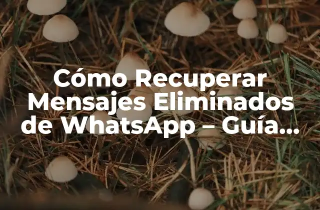 Cómo Recuperar Mensajes Eliminados de Whatsapp – Guía Completa