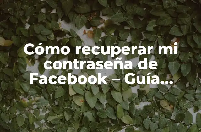 Cómo Recuperar Mi Contraseña de Facebook – Guía Práctica