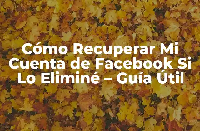 Cómo Recuperar Mi Cuenta de Facebook Si Lo Eliminé – Guía Útil