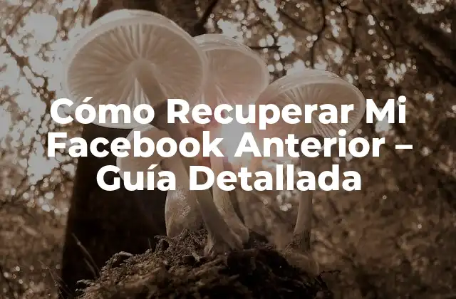 Cómo Recuperar Mi Facebook Anterior - Guía Detallada 2 ¿Por qué Perdí Acceso a Mi Facebook Anterior?