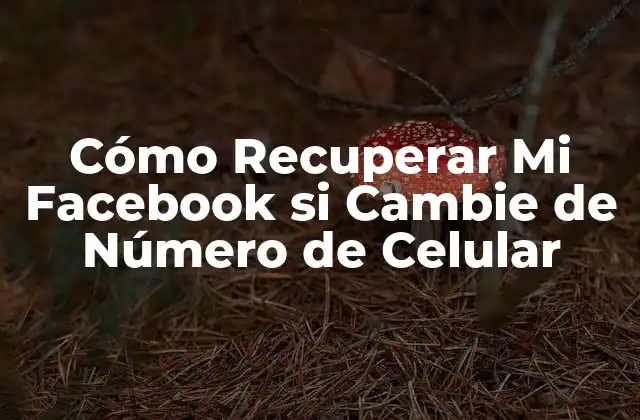 Cómo Recuperar Mi Facebook Si Cambie de Número de Celular