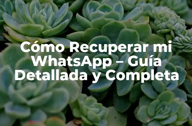 Cómo Recuperar Mi Whatsapp – Guía Detallada y Completa