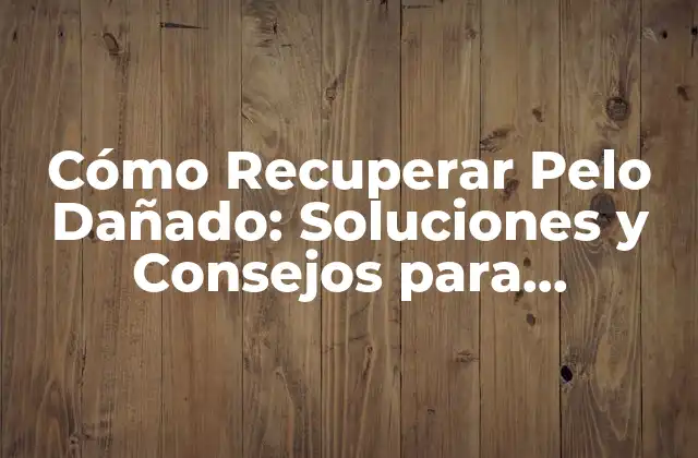 Cómo Recuperar Pelo Dañado: Soluciones y Consejos para Rejuvenecer Tu Cabello