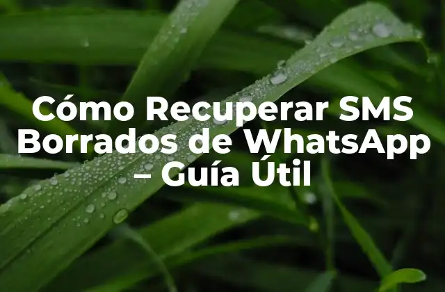 Cómo Recuperar Sms Borrados de Whatsapp – Guía Útil