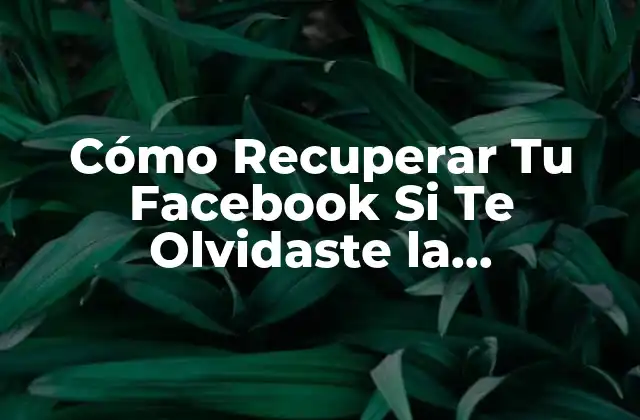 ¿Por qué es importante recuperar tu cuenta de Facebook?