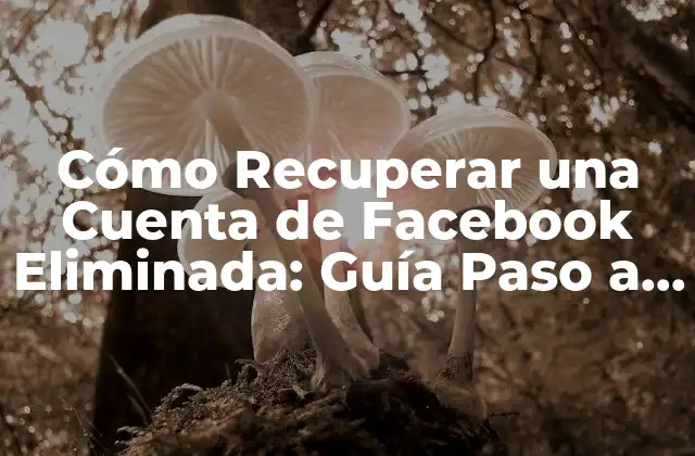 Cómo Recuperar una Cuenta de Facebook Eliminada: Guía Paso a Paso