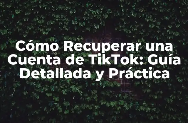 ¿Por qué mi cuenta de TikTok fue inhabilitada o eliminada?